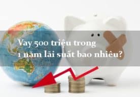 vay 500 triệu trong 1 năm lãi suất bao nhiêu?