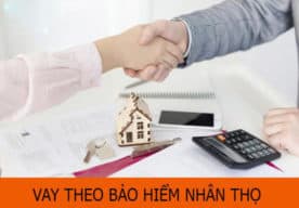 Vay Tiền Bằng Hợp Đồng Bảo Hiểm Nhân Thọ Bảo Việt